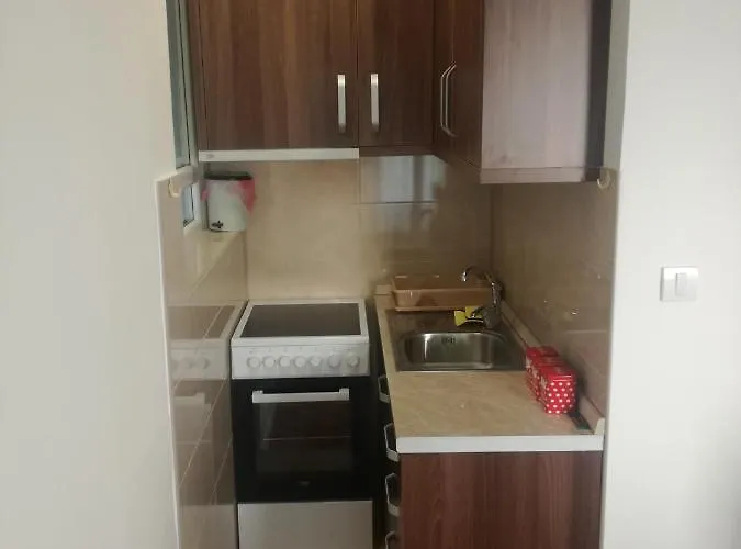 Stan Na Dan Pex Free Parking Appartamento *